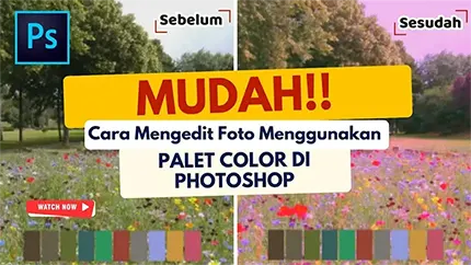 video inko 5